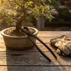 Bonsai Concave Branch Cutter – High-Quality Manganese Steel Tool for Precise Tree Pruning and Branch Removal