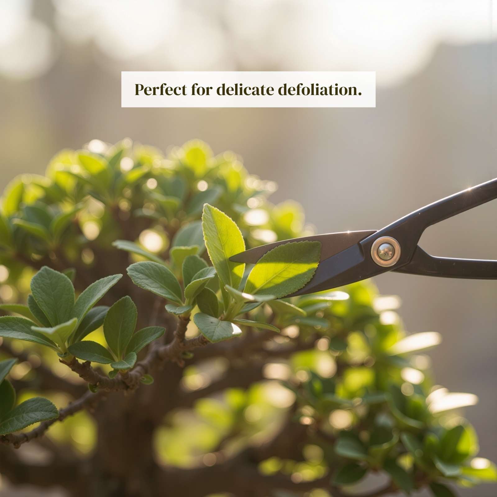 Bonsai Scissors – Precision Manganese Steel Garden Pruning Shears