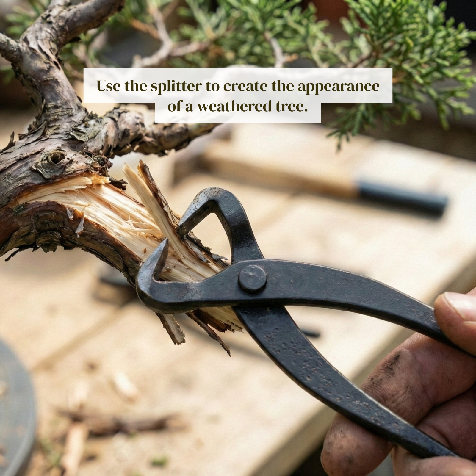 Bonsai Trunk Splitter – Manganese Steel Tool with V-Shaped Jaws